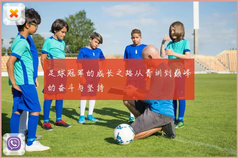 足球冠军的成长之路从青训到巅峰的奋斗与坚持